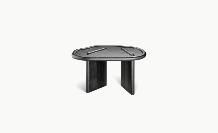 ISHI MINI